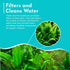 Java Fern Mat (Microsorum Pteropus) on Mat