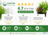 Beginner Live Aquarium Plants Bundle 3 to 75 Assorted Easy Plants for Fish Tanks