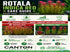 Rotala Indica
