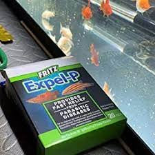Fritz Expel-P – Internal Parasite Treatment for Freshwater & Saltwater Aquariums