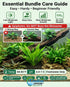 Live Aquarium Plants Essential Bundle