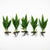 Java Fern (Microsorum pteropus) – Easy Live Freshwater Aquarium Plant