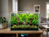 Live Aquarium Plants Essential Bundle