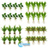 Live Aquarium Plants Essential Bundle