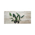 Cichlid-Friendly Live Plant Pack – Large Hardy Aquarium Plants (3 Pack)