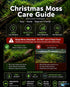 Christmas Moss on Driftwood | Live Aquarium Plant - Pre-Attached Vesicularia Montagnei, Low Light, No CO2, Shrimp Safe