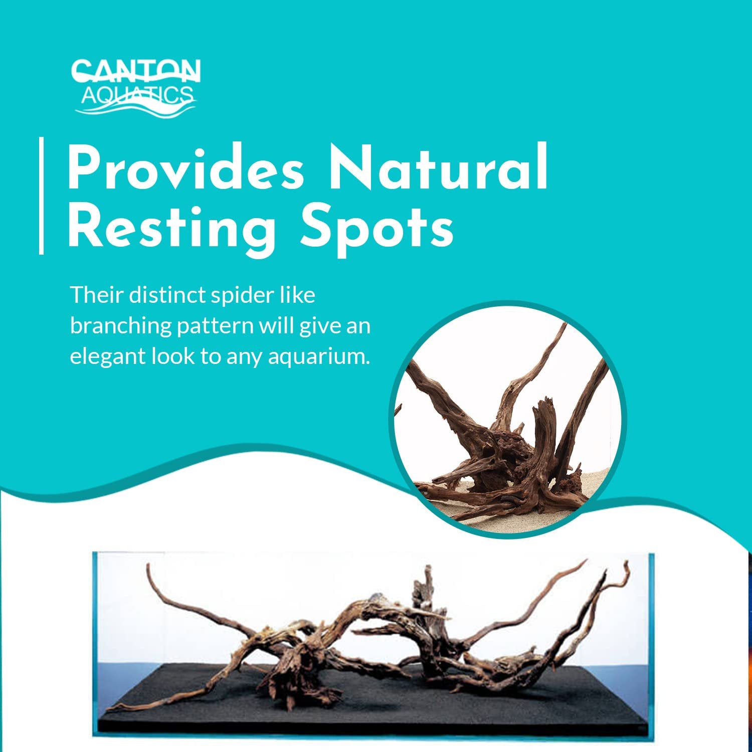 Aquarium Hardscape DriftWood: SpiderWood