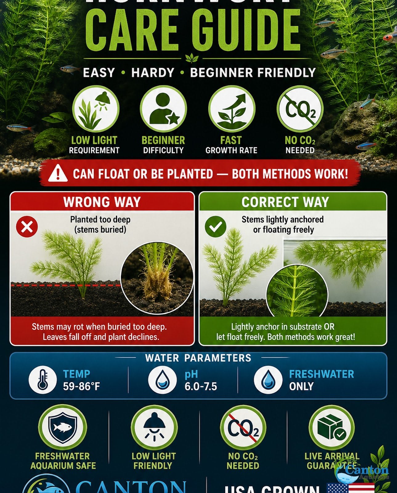 Hornwort Bunch