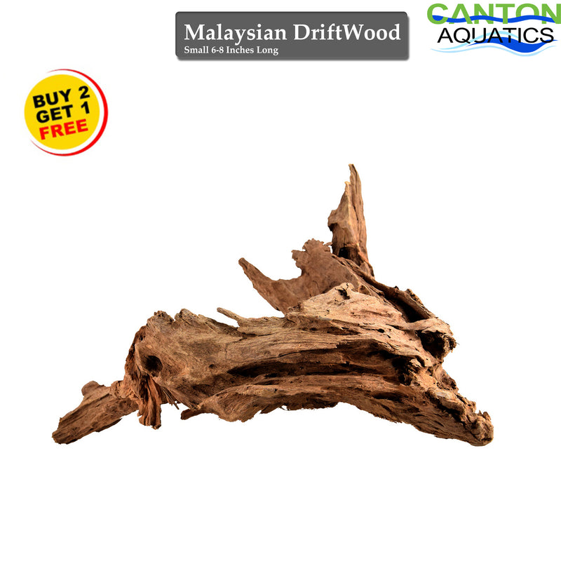 Malaysian DriftWood Aquascape for