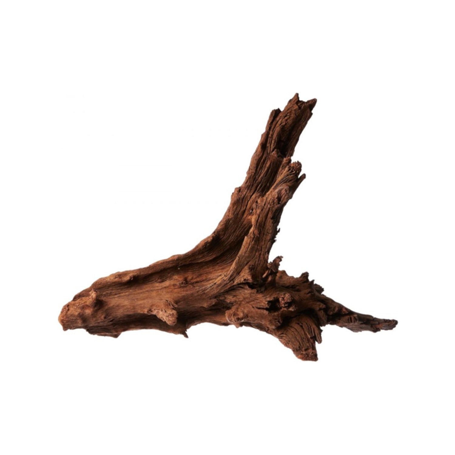 Buy 2 Get 1 Free Malaysian DriftWood Aquascape for Live Aquarium Plant Decor - Canton Aquatics