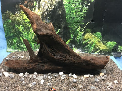 Malaysian Drift Wood Aquascaping Aquarium Decoration